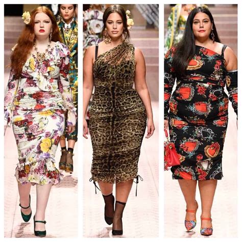 versace e dolce e gabbana|dolce & gabbana plus size.